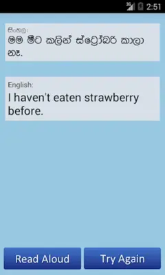 Grammar Buddy android App screenshot 20